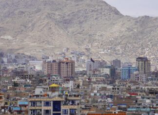 Ansel Elgort: Life Story, Career Highlights, and Full Biography Ansel Elgort: Life Story, Career Highlights, and Full Biography