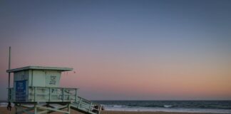 Anthony Mason: Life Story, Career Highlights, and Full Biography