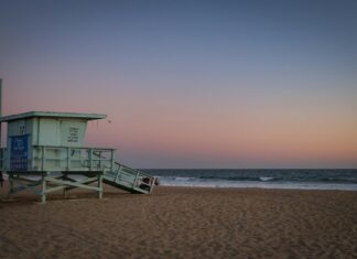 Anthony Mason: Life Story, Career Highlights, and Full Biography Anthony Mason: Life Story, Career Highlights, and Full Biography