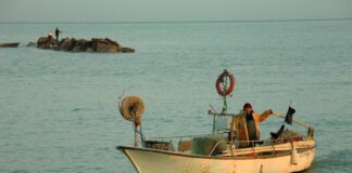 Ariana Grande: Life Story, Career Highlights, and Full Biography