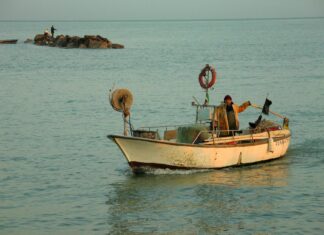 Ariana Grande: Life Story, Career Highlights, and Full Biography Ariana Grande: Life Story, Career Highlights, and Full Biography