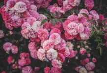 Ashley Judd Nude Scenes: What They Meant In Her Career Journey Ashley Judd Nude Scenes: What They Meant In Her Career Journey