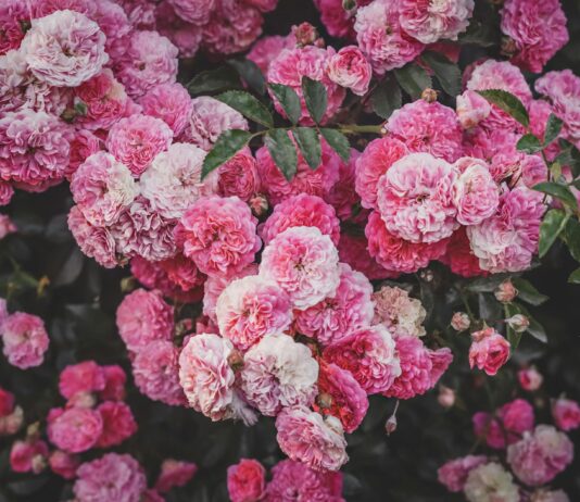 Ashley Judd Nude Scenes: What They Meant In Her Career Journey