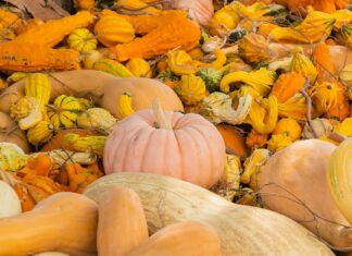 Ashton Kutcher: Life Story, Career Highlights, and Full Biography Ashton Kutcher: Life Story, Career Highlights, and Full Biography