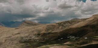 Asia O'Hara: Life Story, Career Highlights, and Full Biography