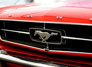 Atlanta Falcons Logo Evolution: What Each Version Says About The Team Atlanta Falcons Logo Evolution: What Each Version Says About The Team