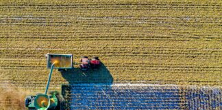 Austin Butler: Life Story, Career Highlights, and Full Biography