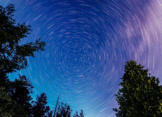 Barry Keoghan: Life Story, Career Highlights, and Full Biography Barry Keoghan: Life Story, Career Highlights, and Full Biography