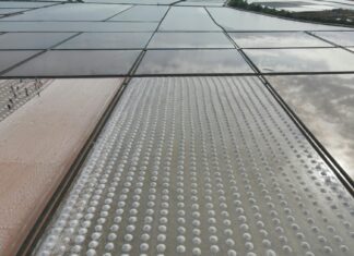 Bia: Life Story, Career Highlights, and Full Biography Bia: Life Story, Career Highlights, and Full Biography