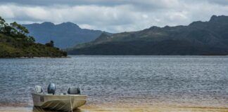 Blair St. Clair: Life Story, Career Highlights, and Full Biography