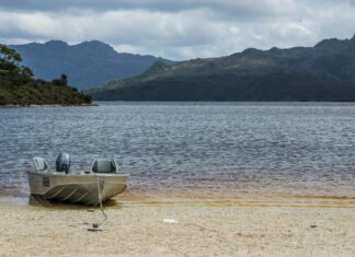 Blair St. Clair: Life Story, Career Highlights, and Full Biography Blair St. Clair: Life Story, Career Highlights, and Full Biography