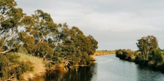 Bo Burnham: Life Story, Career Highlights, and Full Biography