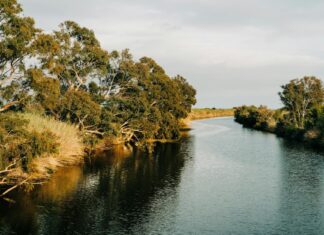 Bo Burnham: Life Story, Career Highlights, and Full Biography Bo Burnham: Life Story, Career Highlights, and Full Biography