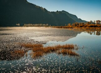 Brad Pitt: Life Story, Career Highlights, and Full Biography Brad Pitt: Life Story, Career Highlights, and Full Biography