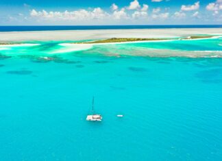 Brendan O’Carroll: Life Story, Career Highlights, and Full Biography Brendan O'Carroll: Life Story, Career Highlights, and Full Biography