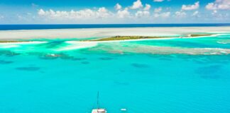 Brendan Schaub: Life Story, Career Highlights, and Full Biography