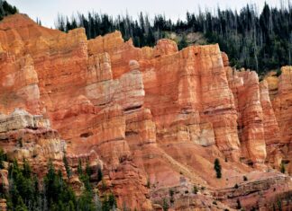 Brian Gleeson: Life Story, Career Highlights, and Full Biography Brian Gleeson: Life Story, Career Highlights, and Full Biography