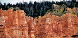 Brian McFadden: Life Story, Career Highlights, and Full Biography