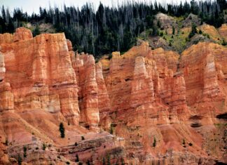 Brian McFadden: Life Story, Career Highlights, and Full Biography Brian McFadden: Life Story, Career Highlights, and Full Biography