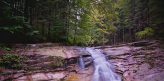 Brooke Lynn Hytes: Life Story, Career Highlights, and Full Biography