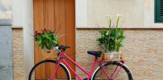 Bryan Callen: Life Story, Career Highlights, and Full Biography