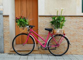 Bryan Callen: Life Story, Career Highlights, and Full Biography Bryan Callen: Life Story, Career Highlights, and Full Biography