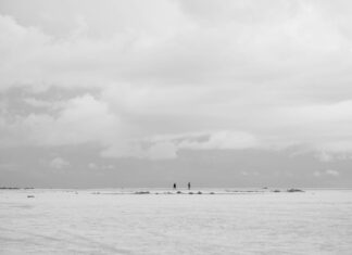 Cardi B: Life Story, Career Highlights, and Full Biography Cardi B: Life Story, Career Highlights, and Full Biography