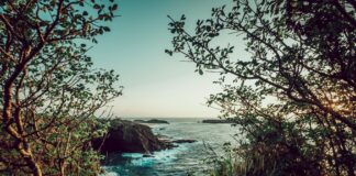 Carey Mulligan: Life Story, Career Highlights, and Full Biography