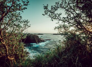 Carey Mulligan: Life Story, Career Highlights, and Full Biography Carey Mulligan: Life Story, Career Highlights, and Full Biography