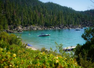 Carson Daly: Life Story, Career Highlights, and Full Biography Carson Daly: Life Story, Career Highlights, and Full Biography