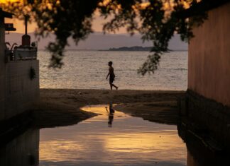 Catherine Deneuve: Life Story, Career Highlights, and Full Biography Catherine Deneuve: Life Story, Career Highlights, and Full Biography