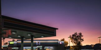 Cecilia Vega: Life Story, Career Highlights, and Full Biography Cecilia Vega: Life Story, Career Highlights, and Full Biography