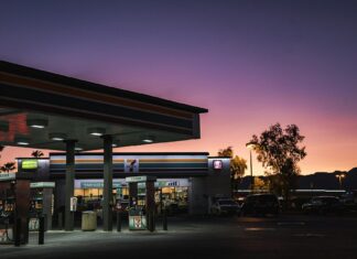 Cecilia Vega: Life Story, Career Highlights, and Full Biography Cecilia Vega: Life Story, Career Highlights, and Full Biography