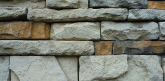 Cecily Strong: Life Story, Career Highlights, and Full Biography