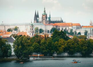 Charles Oliveira: Life Story, Career Highlights, and Full Biography Charles Oliveira: Life Story, Career Highlights, and Full Biography