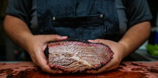 Charli XCX: Life Story, Career Highlights, and Full Biography