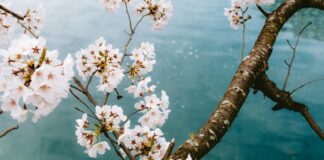 Charlotte Gainsbourg: Life Story, Career Highlights, and Full Biography Charlotte Gainsbourg: Life Story, Career Highlights, and Full Biography