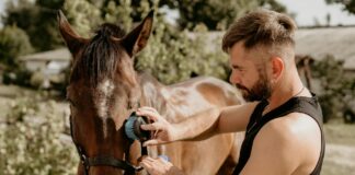 Chelsea Handler: Life Story, Career Highlights, and Full Biography Chelsea Handler: Life Story, Career Highlights, and Full Biography