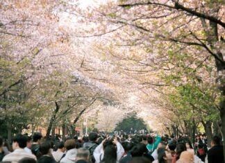 Cherry Valentine: Life Story, Career Highlights, and Full Biography Cherry Valentine: Life Story, Career Highlights, and Full Biography