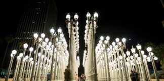 Chris D’Elia: Life Story, Career Highlights, and Full Biography Chris D'Elia: Life Story, Career Highlights, and Full Biography