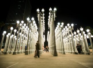 Chris D’Elia: Life Story, Career Highlights, and Full Biography Chris D'Elia: Life Story, Career Highlights, and Full Biography