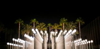 Chris O'Dowd: Life Story, Career Highlights, and Full Biography