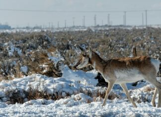 Ciarán Hinds: Life Story, Career Highlights, and Full Biography Ciarán Hinds: Life Story, Career Highlights, and Full Biography
