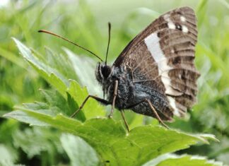 Circe Book Review: Why This Modern Myth Retelling Stands Out Circe Book Review: Why This Modern Myth Retelling Stands Out