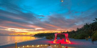 Coco Gauff: Life Story, Career Highlights, and Full Biography