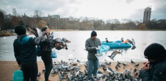 Conor McGregor: Life Story, Career Highlights, and Full Biography