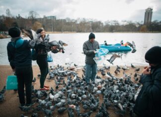 Conor McGregor: Life Story, Career Highlights, and Full Biography Conor McGregor: Life Story, Career Highlights, and Full Biography