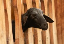 Country Crock Butter Review: Does It Still Hold Up?