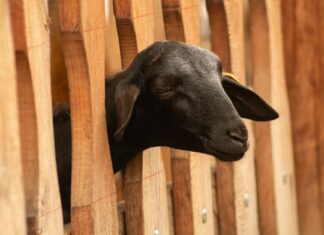 Country Crock Butter Review: Does It Still Hold Up? Country Crock Butter Review: Does It Still Hold Up?