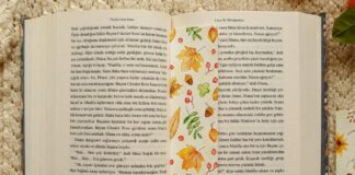 Dacre Montgomery: Life Story, Career Highlights, and Full Biography